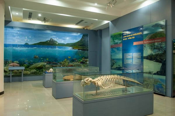 Bảo tàng Vũng Tàu (Bảo tàng Hải Dương học)