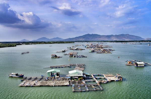 Đảo Long Sơn Vũng tàu