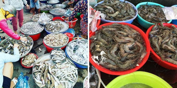 Những hải sản tươi sống, chất lượng từ khu chợ Bến Đình