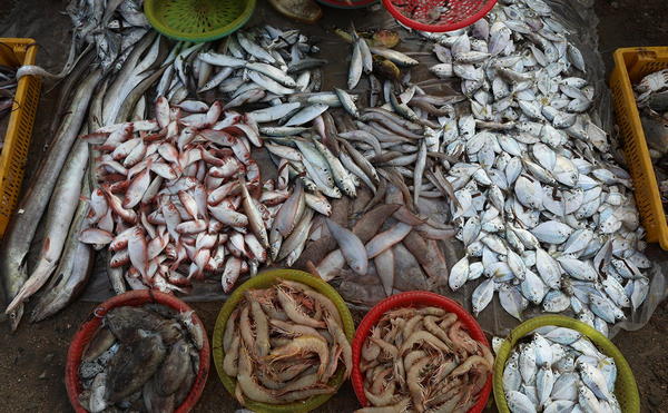 chợ làng chài Vũng Tàu không chỉ đa dạng mà còn rất hấp dẫn cho những người yêu thực phẩm biển