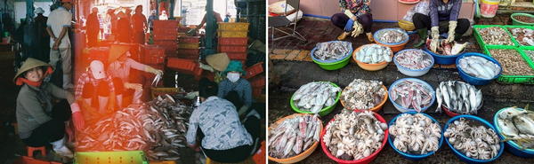 Hình ảnh chợ hải sản tươi sống ở những khu chợ Vũng tàu