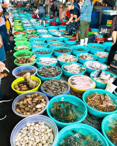 Hàng chục loại hải sản tươi sống khác nhau tại Chợ Bến Đình Vũng tàu