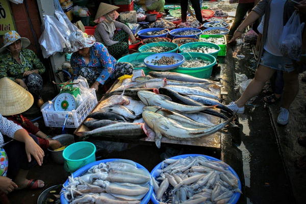chợ Xóm Lưới Vũng Tàu cung cấp nhiều loại cá khác nhau.