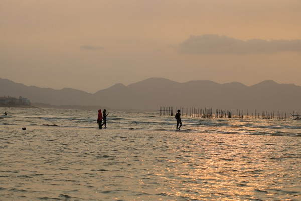 Bãi Đồi Nhái Vũng Tàu – một biểu tượng thiên đàng biển tại Việt Nam