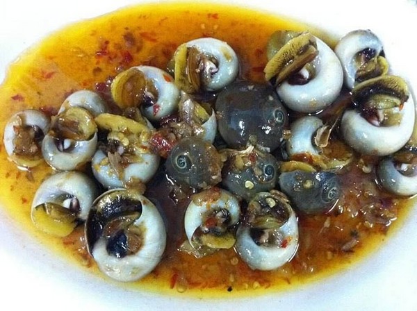 Quán ốc Bình chuyên phục vụ những món ăn được chế biến từ ốc và những loại hải sản chất lượngQuán ốc Bình chuyên phục vụ những món ăn được chế biến từ ốc và những loại hải sản chất lượng