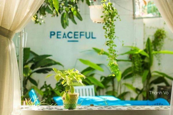 Peaceful House là điểm đến của những người tìm kiếm sự bình dị và yên bình