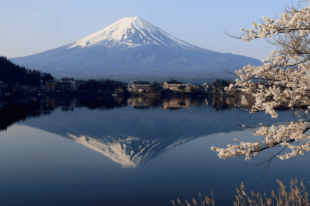 Sở hữu tấm thị thực Nhật Bản