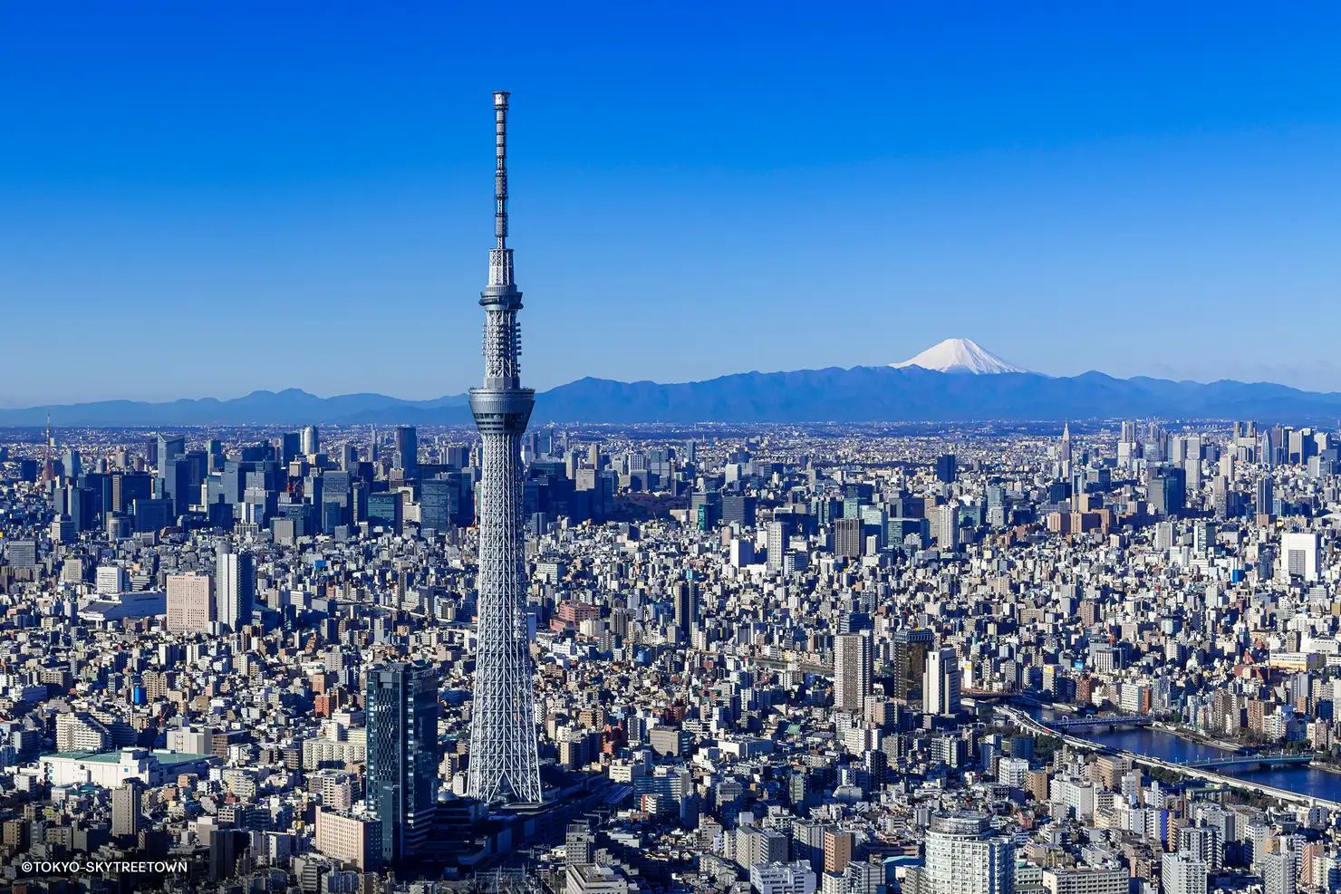 Tokyo Skytree