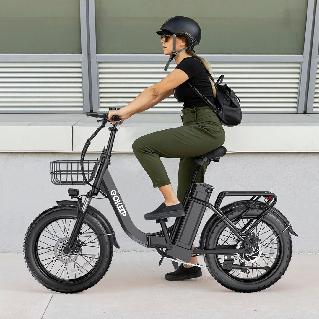 xe đạp trợ lực điện